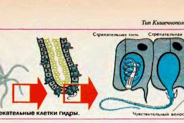 Даркнет зеркало