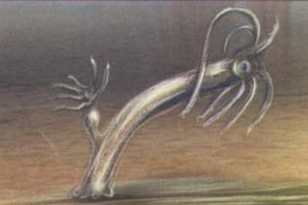 Kraken ссылка тг