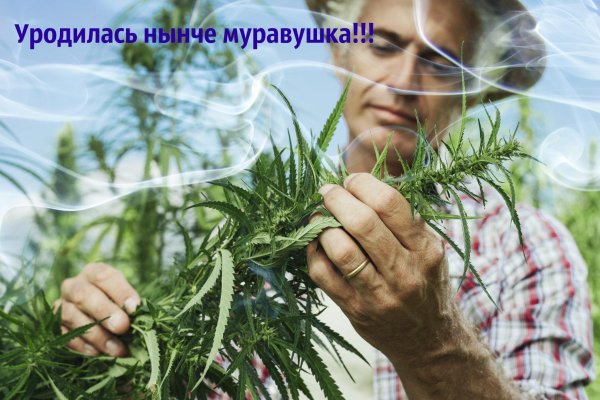 Магазин веществ кракен