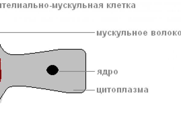Линк кракена