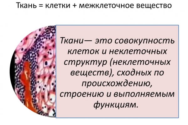 Kraken официальный сайт ссылка krk store com